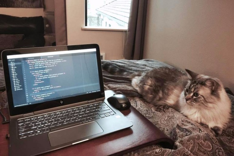 15940575_1231838643564023_7944867066425707486_n